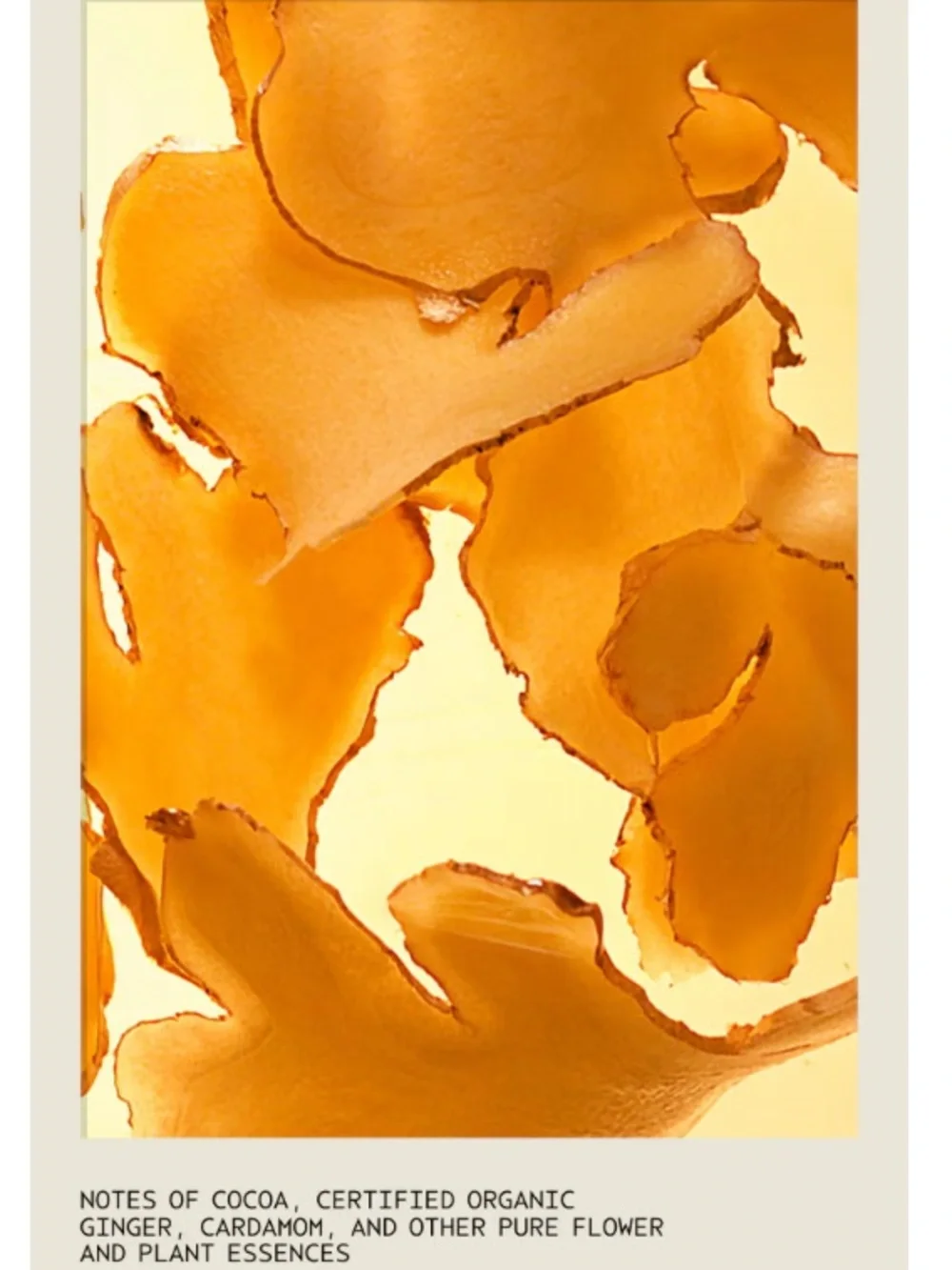 AVEDA Nutri Plenish Shampoo - Travel size